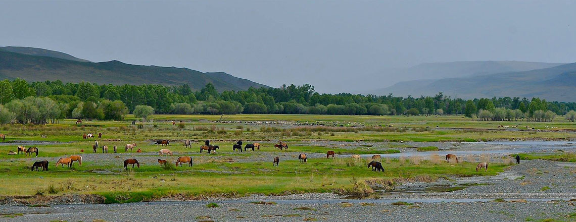 Тамирын гол